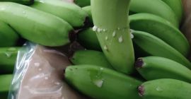 Großhandel mit Bananen aus der Türkei !!!! Wir verkaufen