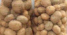 Venderò patate vignette - varietà per tutti gli usi.