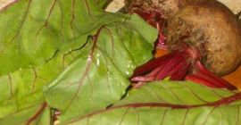 Цвекла: -Достава доступна: Округ Клуж, подручје Клуж-Напоке-Позовите да бисте