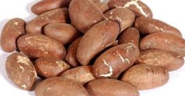 JoshWhale resources - это нигерийская сельскохозяйственная торговая компания с