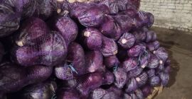 The Ukrainian company Akcent-Miasto draws attention to red cabbage.