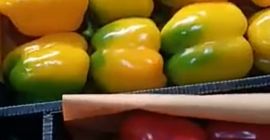 Das ist das, was du willst. Weitere Informationen erhalten