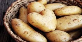 BUXORO AGRO EKSPORT Unternehmen für den allgemeinen Import und