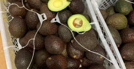 Bună ziua, am Avocado Hass de vânzare în vrac.