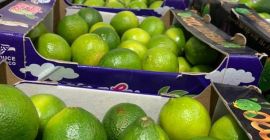 Hello, I have a lime for sale in wholesale