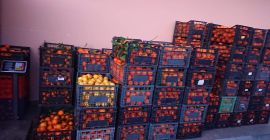 Гърция портокали, 100% БИО Наскоро донесени от Гърция.