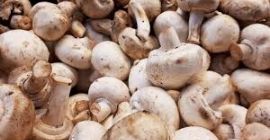 Der Pilz enthält besonders viel Vitamin B und Kalium.