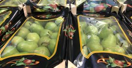 We have two varieties of pears: Konferencja and Lukasówka.