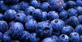 Voi vinde afine în vrac. Ucraina. Căutăm parteneri de