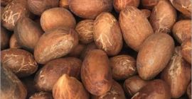 PRODUCT: KOLA NUTS ORIGIN: CAMEROON SPECIFICATION: Crude Protein (N