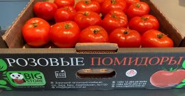 The Bigstore agrofirm offers an ecologically clean product, tomatoes