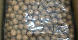 vendiamo noci di macadamia naturali uniche non lavorate in