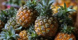 Vendo ananas dall&#39;Ecuador alla rinfusa. E-mail: Info@agriazula.es, tel: +34605