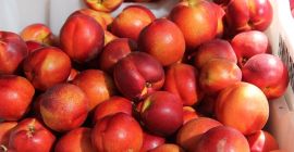 Нектарине ћу продавати на велико. Земља порекла: Шпанија, Мароко,