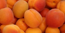 Продаћу количине кајсије на велико. Земља порекла: Шпанија, Мароко,