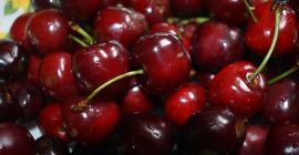 Ще продавам череши на едро. Страна на произход: Испания,