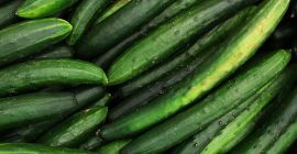 Продам огурцы оптом. Страна происхождения: Испания, Марокко, Нидерланды, Бельгия.