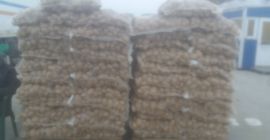 I am selling potatoes imported from Germany France