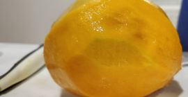 Con oltre 14.000 acri di piantagioni di mango in