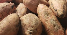 BATATA Dominicana. Conosciuto anche a livello regionale come boinato