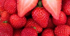 Нашите ягоди се отглеждат в Синоп. Гарантираме качество благодарение