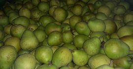 I will sell Lukas, about 8 tons