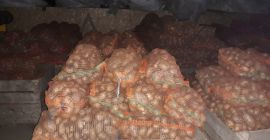 le patate sono arizona