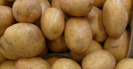 Venderò patate Vinete molto gustose. Maggiori informazioni tel.