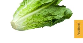 Suntem Best Import Srl avem o oferta de pret