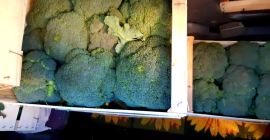 Suntem Best Import Srl avem o oferta de pret