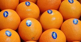 Import export di prodotti biologici Siamo specializzati in settori