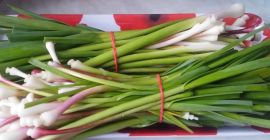 Продается зеленый свежий чеснок. Красный сорт.