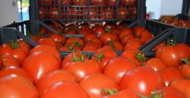 Продукт сертифицирован для продажи во всей Европе. Лучшая цена