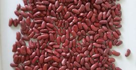 Hallo, unsere Firma PPZ Sława Sp. Z oo z