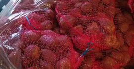 Укусна цвекла. Унутра нема беле боје, опрана или прљава