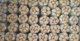 Pronto per la spedizione con enormi quantità dai produttori