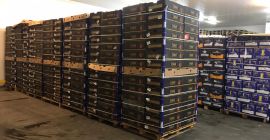 Ciao, siamo una società che importa frutta / verdura