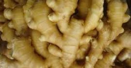 Weare the most renounced farmers and exporters of Ginger.