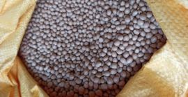 Интересуюсь покупкой гречки. Гречка со специфическим запахом и вкусом,