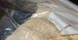 White Sesame Seeds 2021-Harvest , 50Kg Plastic Sacks ,