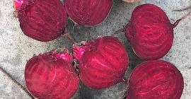 Цвекла класе А. Сорта Пабло. Пречник: од 60 мм