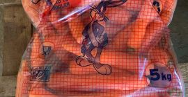 Junge, leckere Karotten, Packung 10 kg 0,35 €, groß