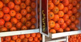 &quot;AGRUMCO è un&#39;azienda a conduzione familiare, situata nella città