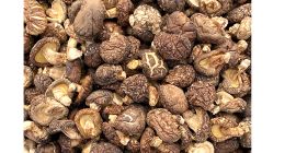 dried natural thick meaty fresh fungus mushrooms ingredient WhatsApp