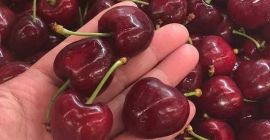 A nagyméretű cseresznyét 2 kg-os dobozokban adják el minden