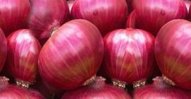 Now we offer fresh : ( Red Onion )