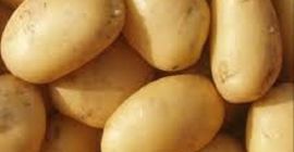 Abbiamo patate di alta qualità (arrugginite) per il consumo.