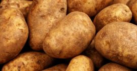 Stiamo mangiando patate di alta qualità (ruggine) per il