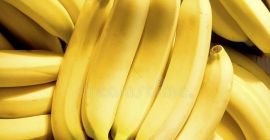 Produktname Frische Cavendish Banane Große Größe aus der Türkei