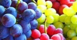 Qualität Ausgezeichnete Früchte, gute Früchte Farbe Grün Horizontaler Durchmesser